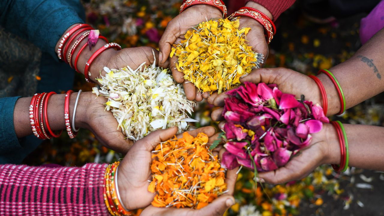 The floral waste sector in India is witnessing substantial growth, providing meaningful employment opportunities, particularly for women  (Representational Image Source: UNEP)