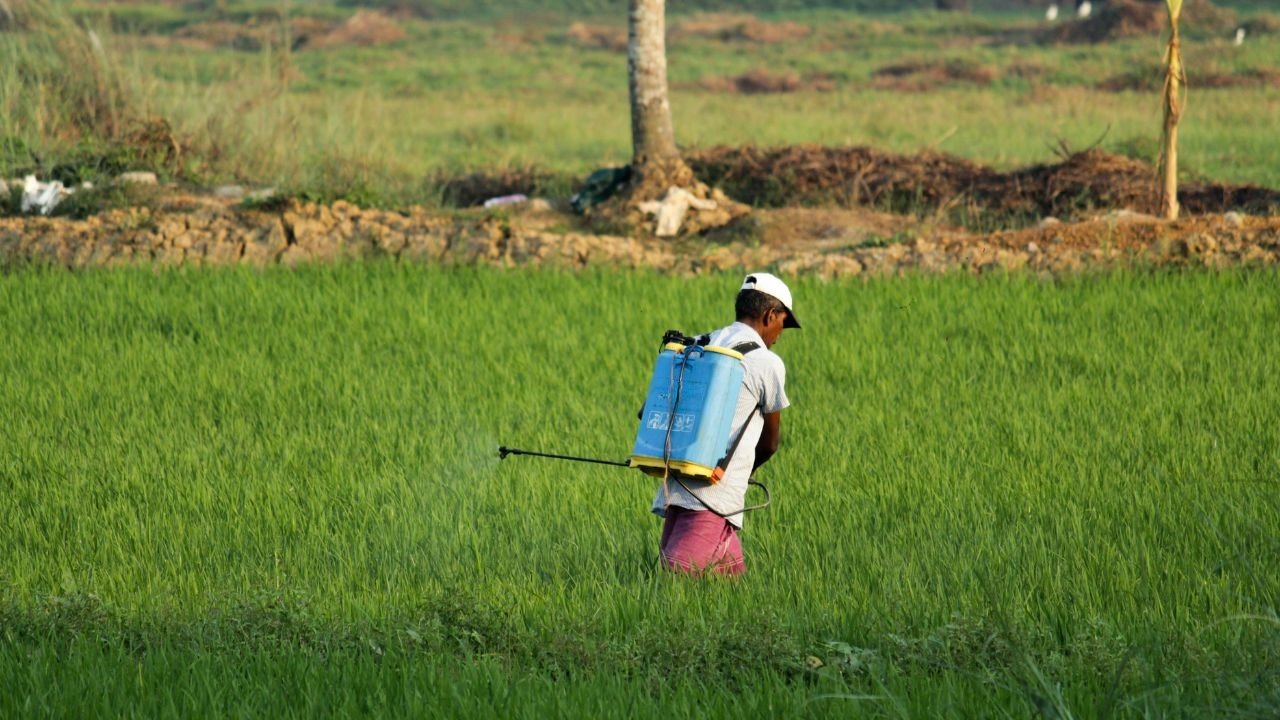 Proposed Doubling of Agrochemical Formulation Custom Duty will Hurt the Farmer Real Hard (Representational Photo Source: Pexels)