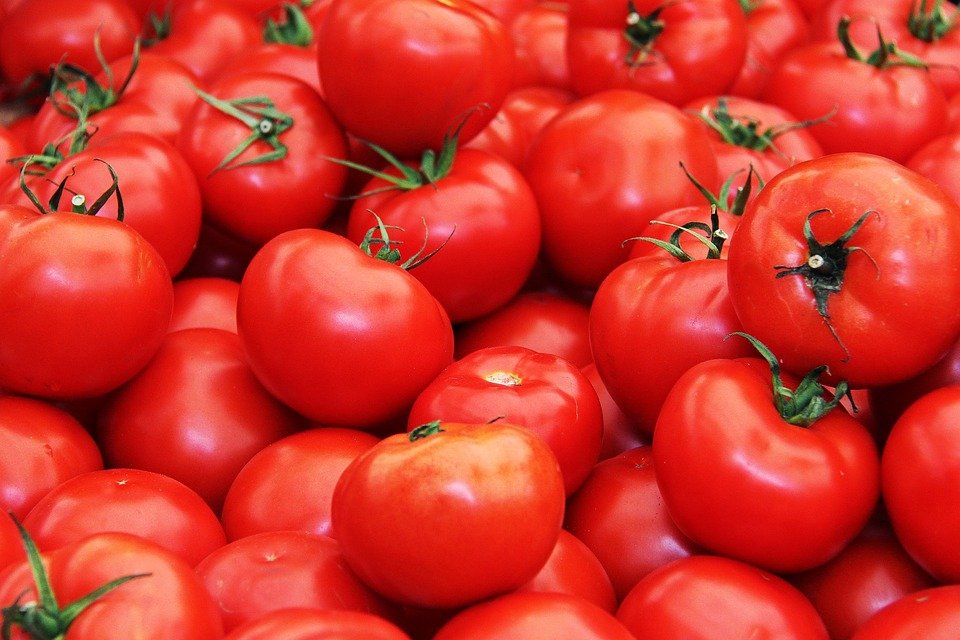 Tomato Grand Challenge (TGC), initiated by the Department of Consumer Affairs in collaboration with the Ministry of Education's Innovation Cell (Photo Source: Pixabay)