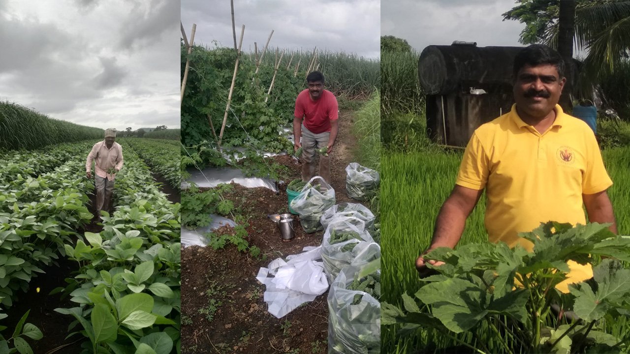 Suresh Vishwanath Patil’s holistic farming approach showcases how smallholder farmers can turn challenges into sustainable success.