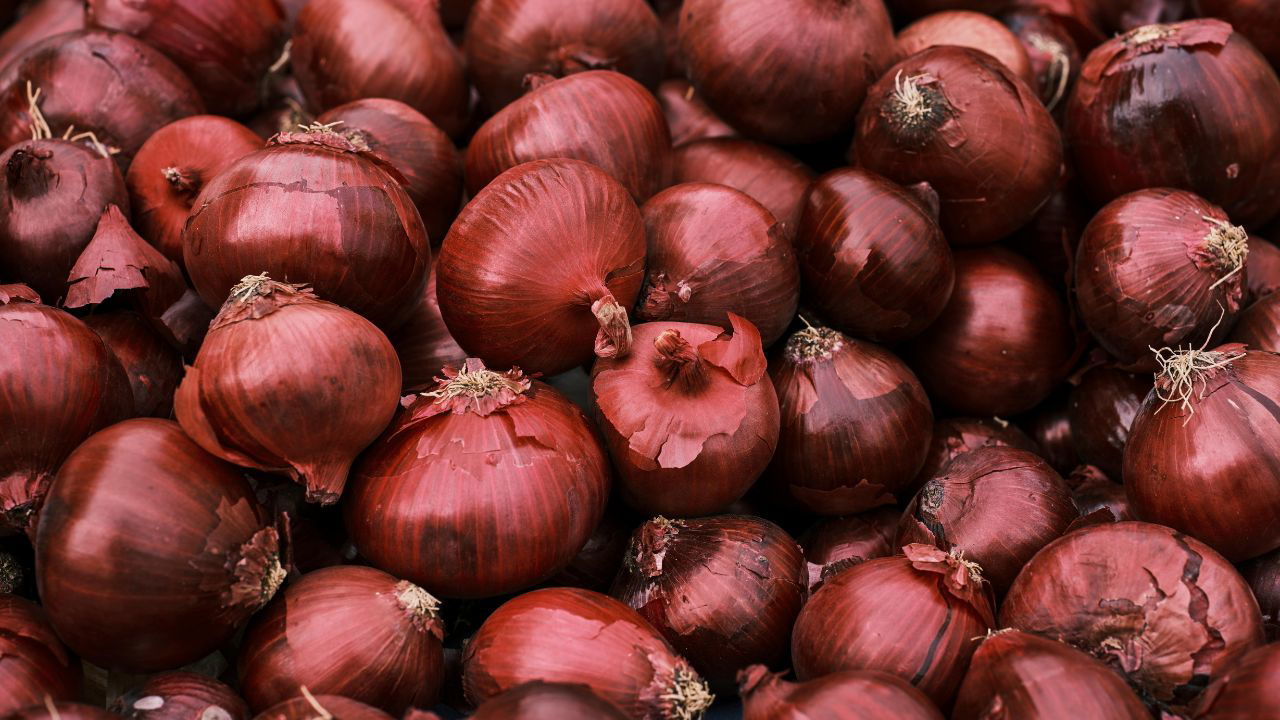 Onion (Photo Source: Pexels)