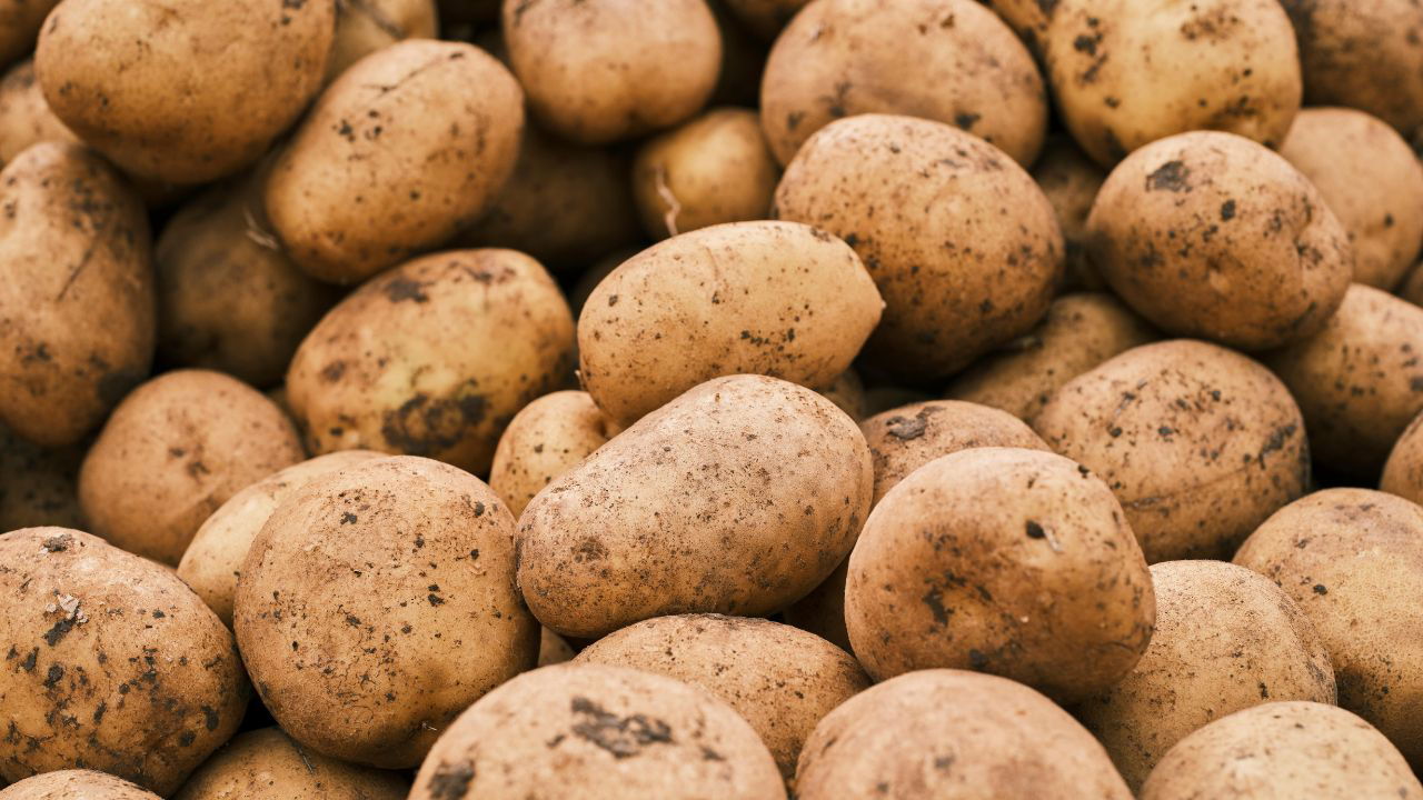 Potatoes (Representational Image Source: Pexels)