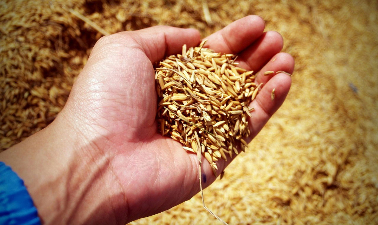 Odisha Introduces First 24/7 'Grain ATM' for PDS Beneficiaries (Photo Source: Pexels)