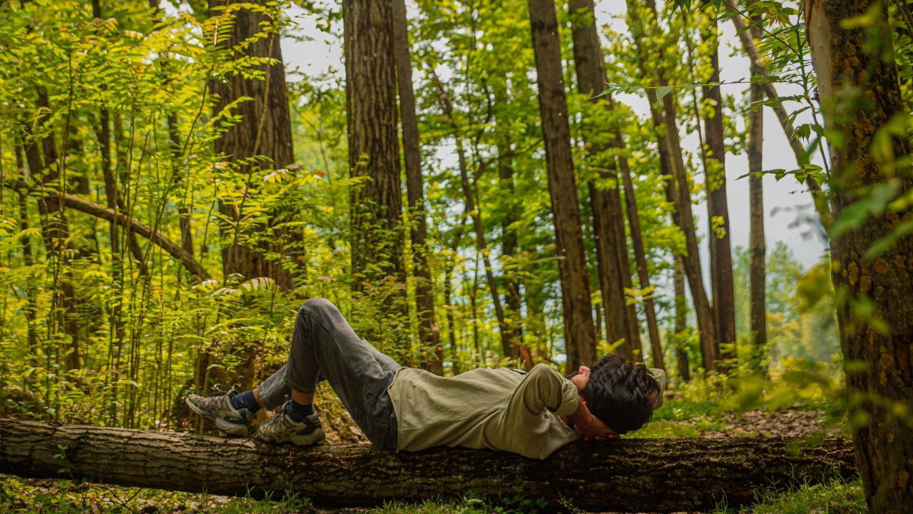 A person lying on a fallen tree trunk in the middle of a lush, green forest to relax (Image Source: Pexels)