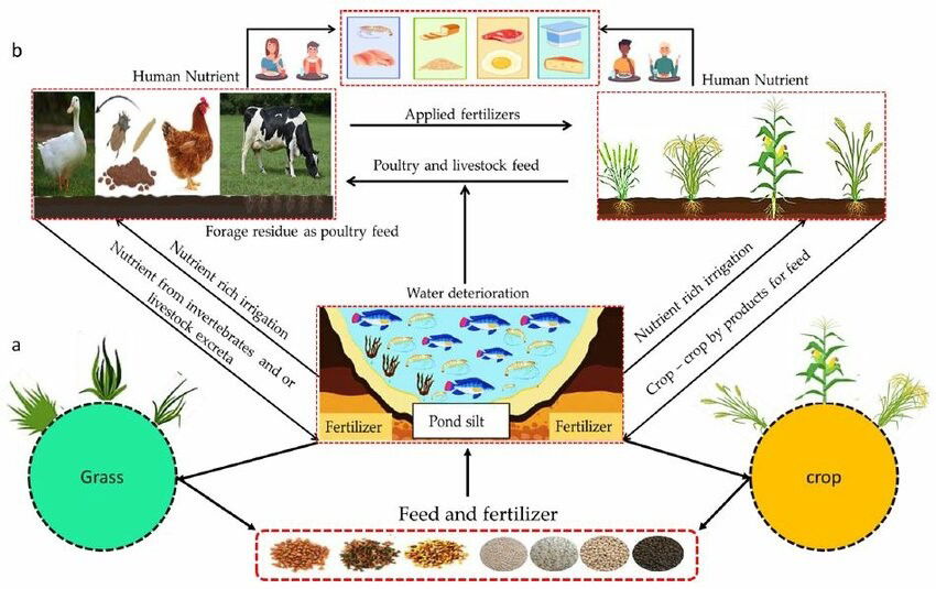 Comparative Impact of Integrated Fish Farming (Source: https://www.researchgate.net)