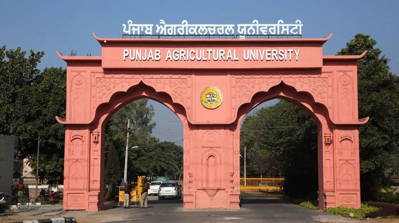 Punjab Agricultural University (PAU), Ludhiana (Photo Source: PAU)