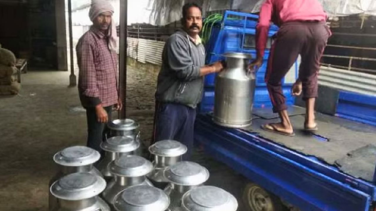 Subodh expanded his herd and invested in modern equipment for the scientific management of his farm