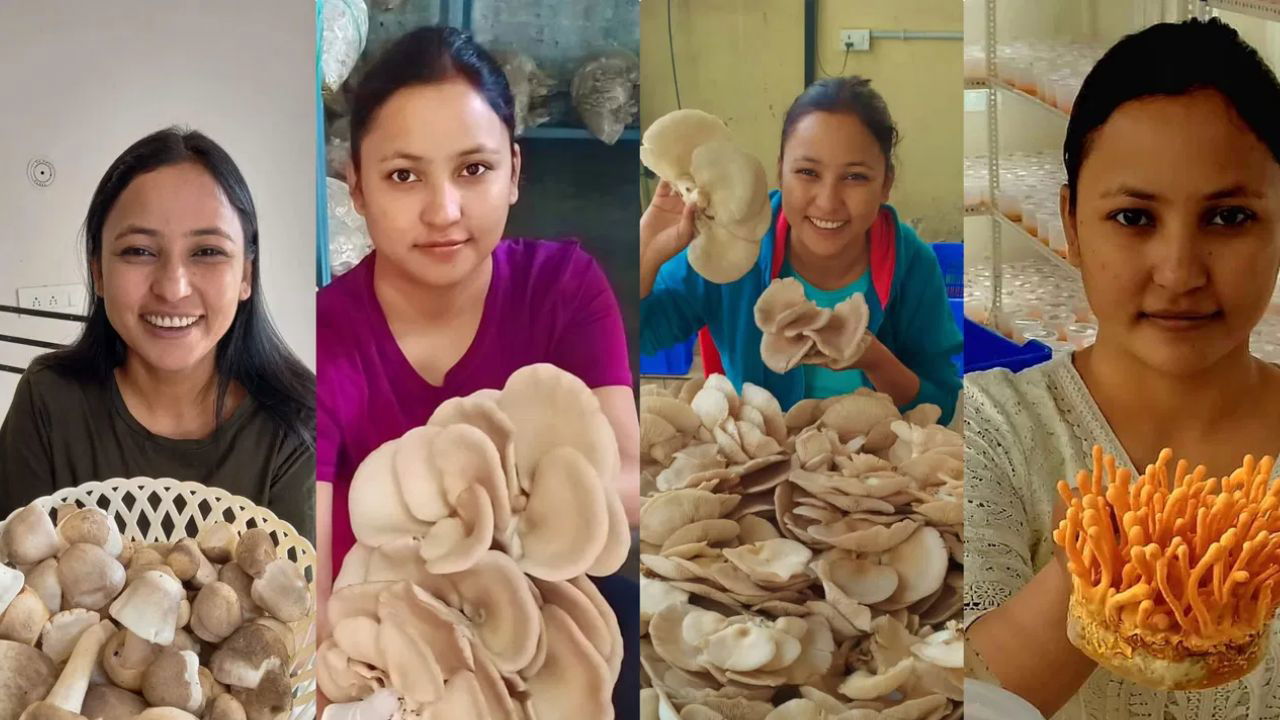 Divya Rawat is called the "Mushroom Lady" of India